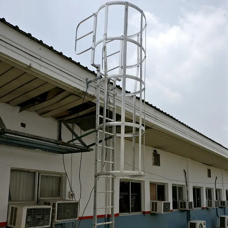 Anchored fall protection system