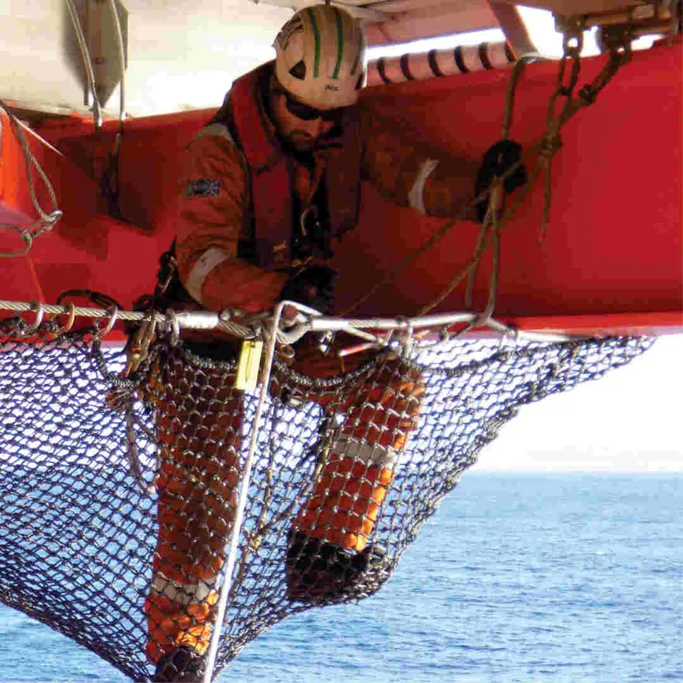 Walk-on netting system
