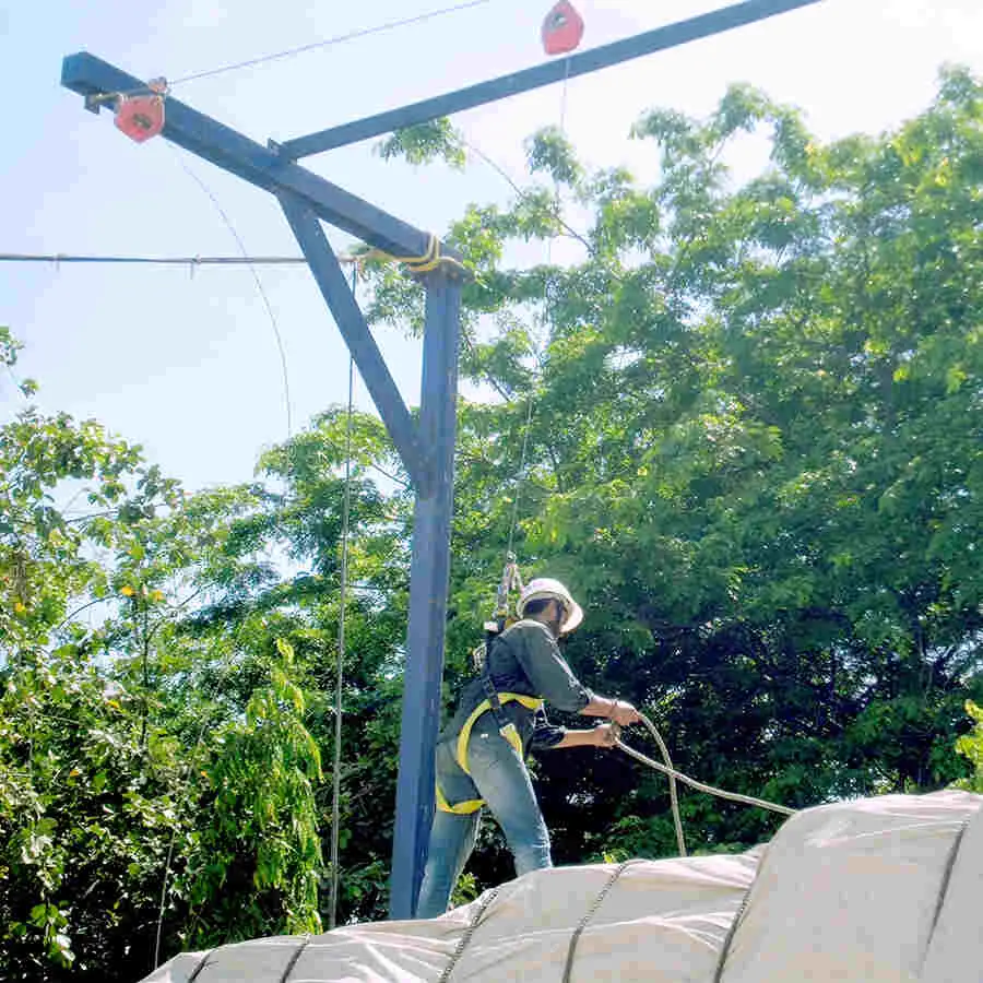 Fall protection system