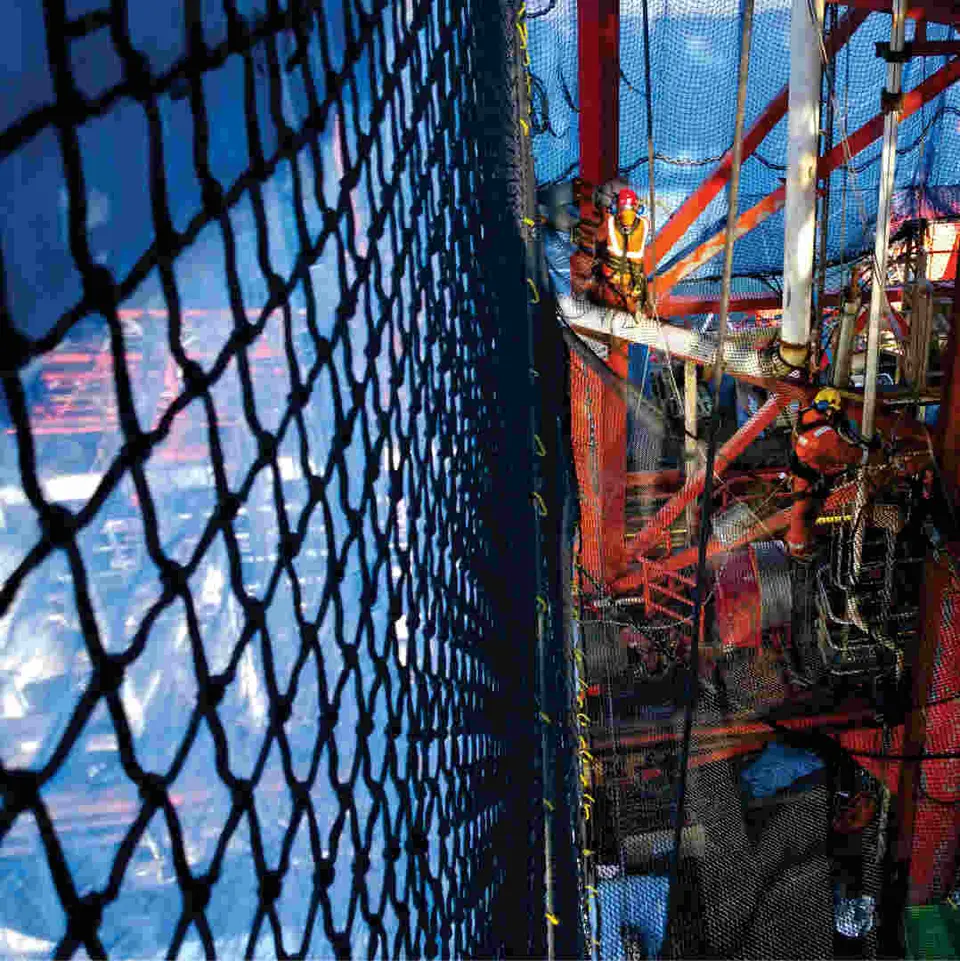 WEB Catch®